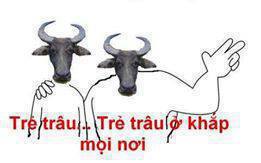 Dowloat Hình Nền Hài Vỡ Gáo